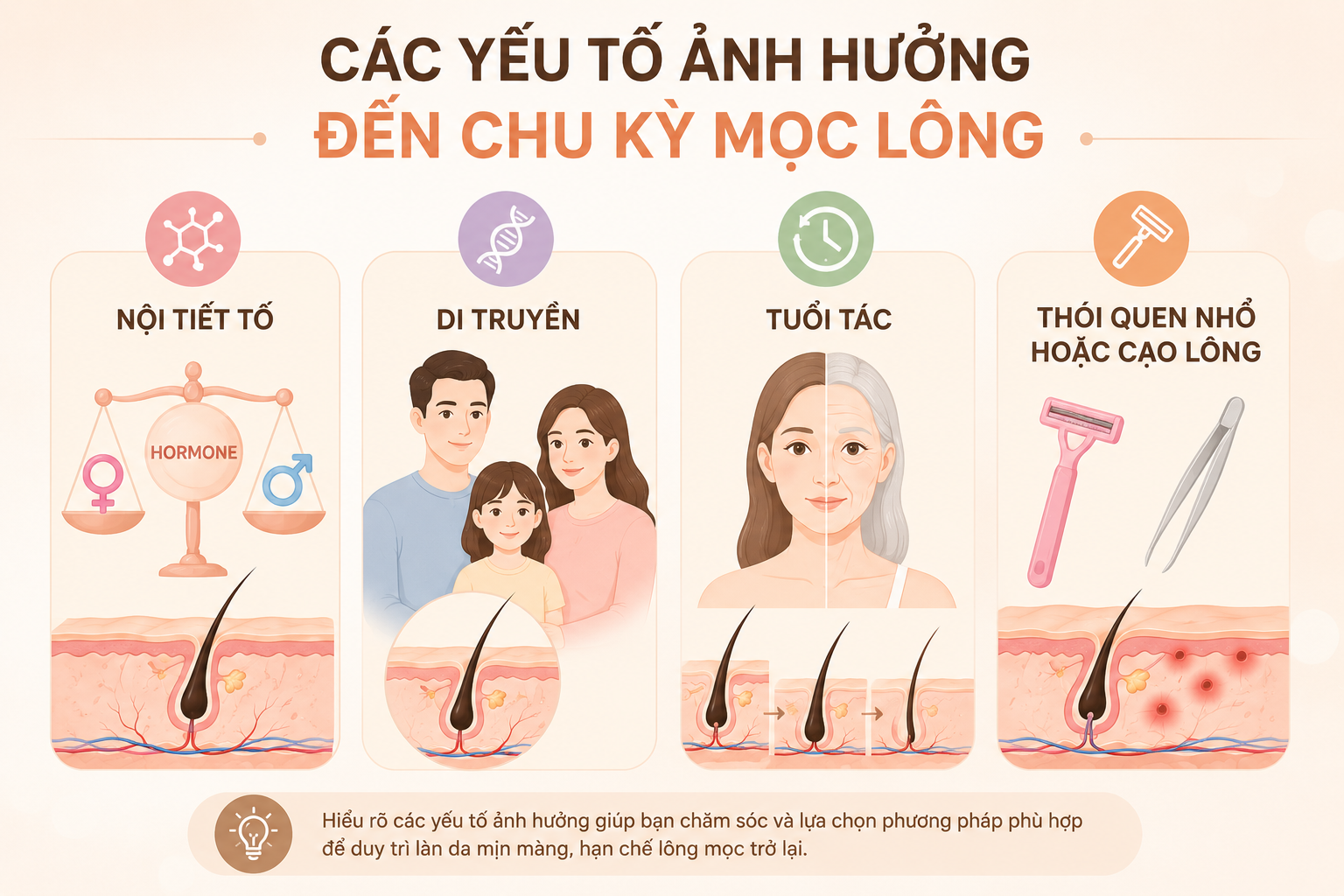 Các yếu tố ảnh hưởng đến chu kỳ mọc lông