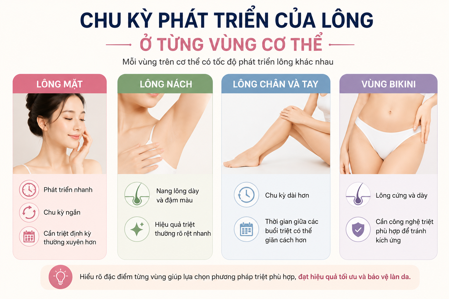 chu kỳ phát triển của lông