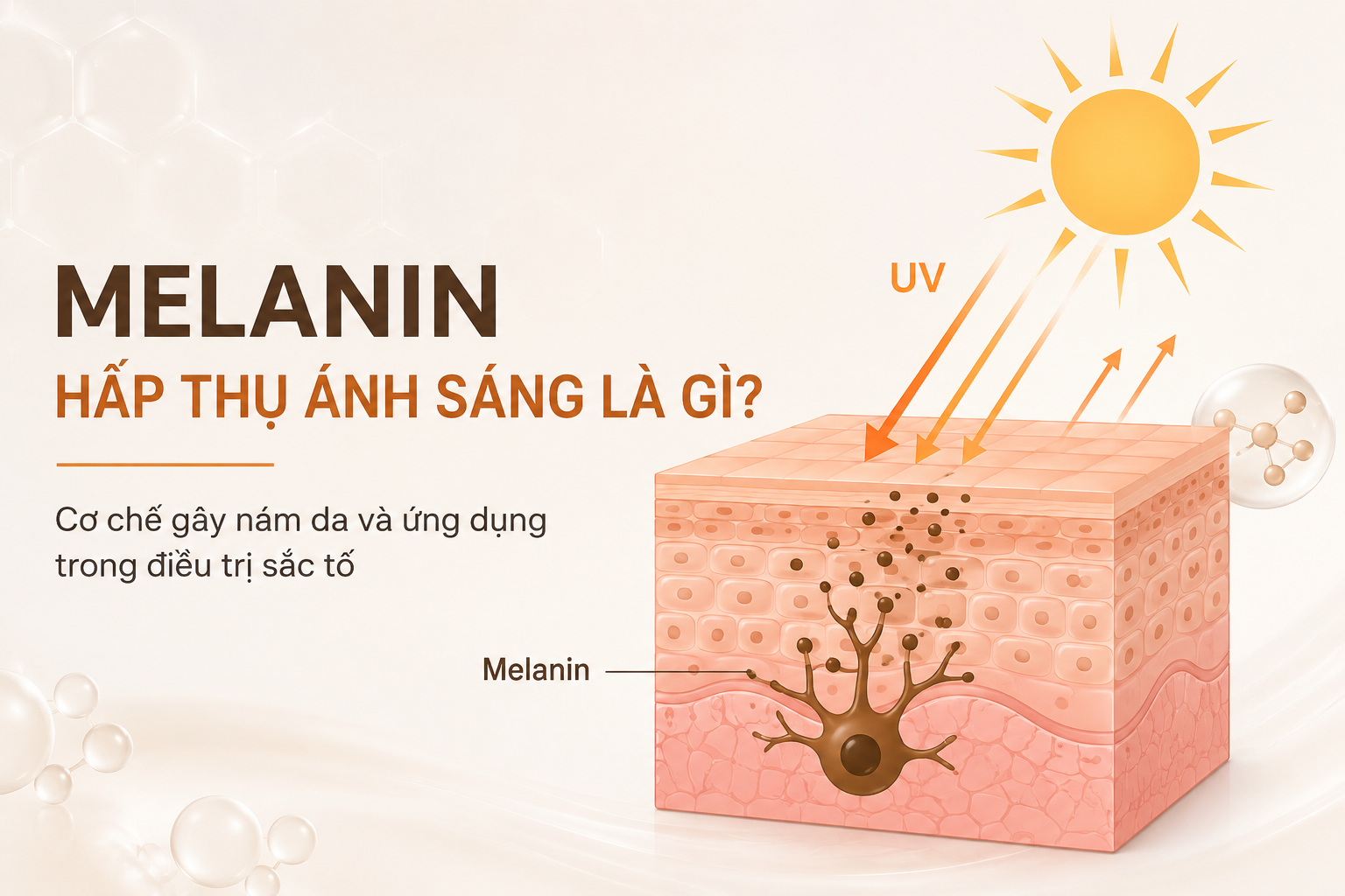 Melanin hấp thụ ánh sáng là gì